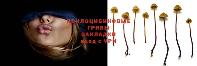 синтетический гашиш Беломорск